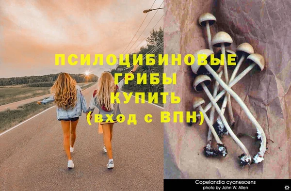 мефедрон мука Алексеевка